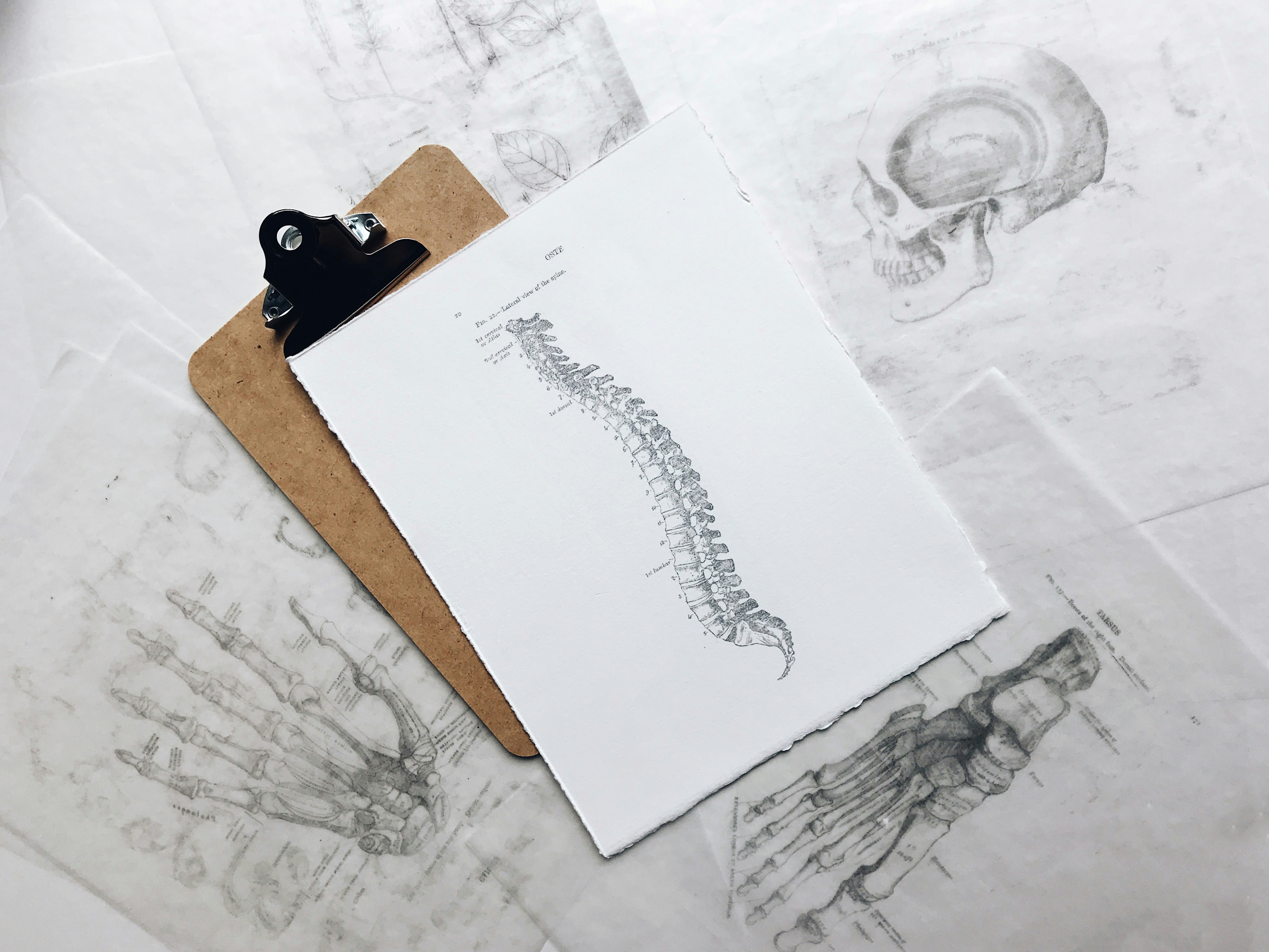 Advancements in Pain Management How Research is Shaping Clinical Practices